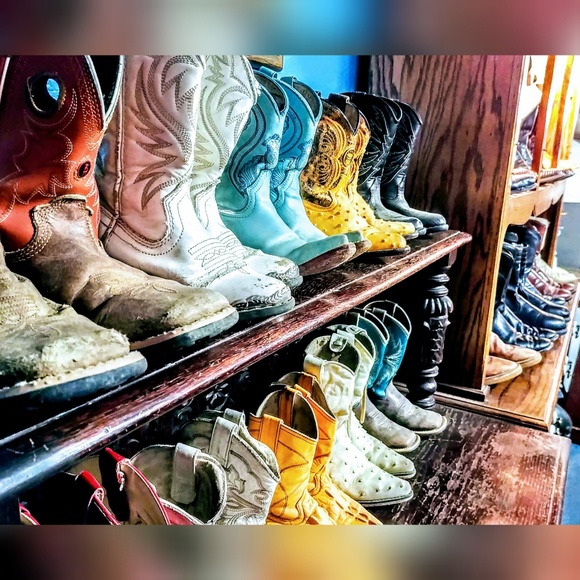 Meet your Posher, Serena - Picture 6 of 7